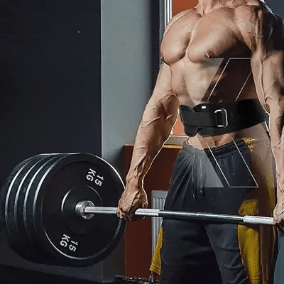 Ceinture pour la musculation - FitnessWaistBeltsâą - Noir - La Zone Fitness